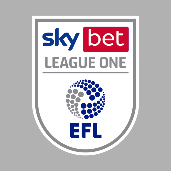 EFL Sleeve Badge