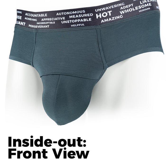Pinatubo Brief inside-out showing front view