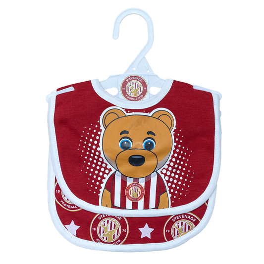 Baby Bibs 2 Pack