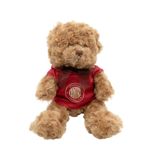 Boro Bear with Hoodie
