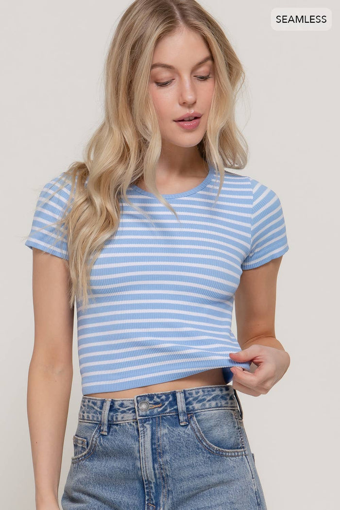 Short Sleeve Stripe Knit Top