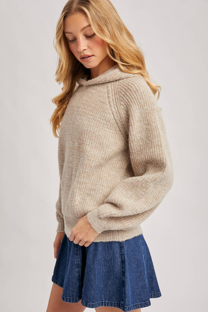 Sweater Hoodie